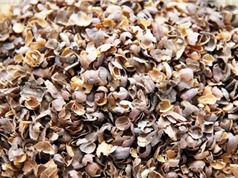 Điều chế chất xúc tác từ vỏ hạt cà phê